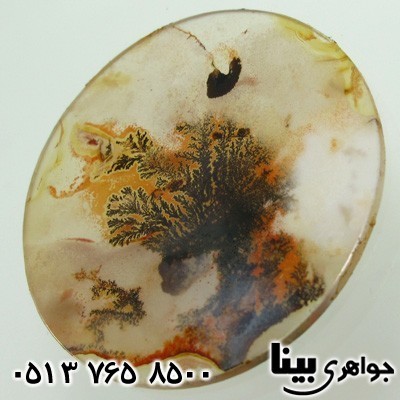 نگین انگشتر عقیق شجری درخت سوزان