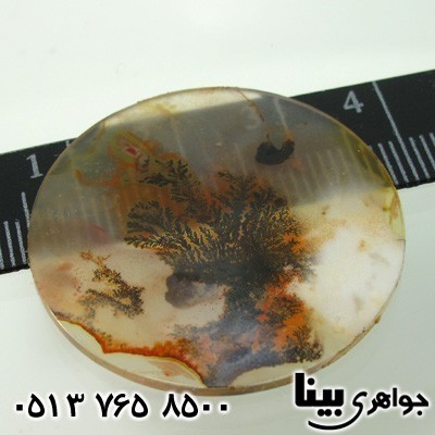 نگین انگشتر عقیق شجری درخت سوزان