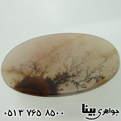 نگین انگشتر عقیق شجری درختچه