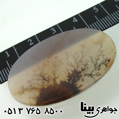 نگین انگشتر عقیق شجری درختچه