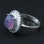 سوسنی رودیوم زنانه خوشرنگ و خاص _کد:31901