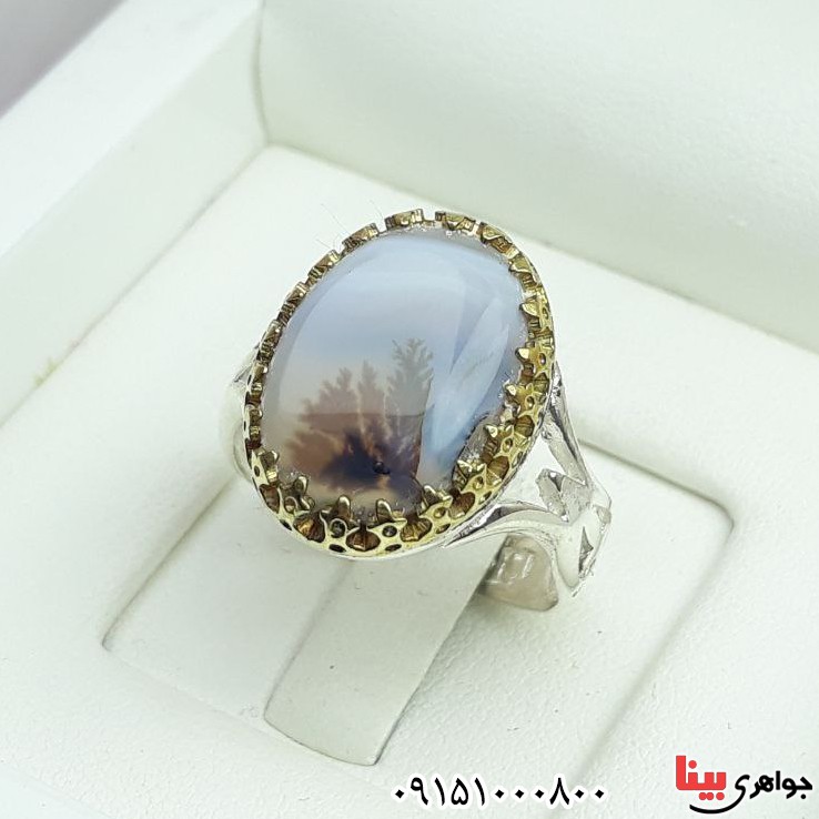انگشتر عقیق شجری زیبا و شیک _کد:33449