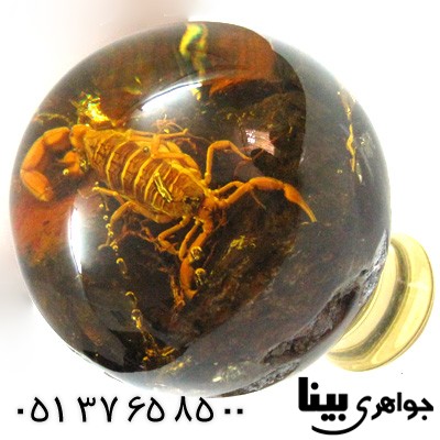 نگین انگشتر کهربا صنعتی با عقرب طبیعی در گوی