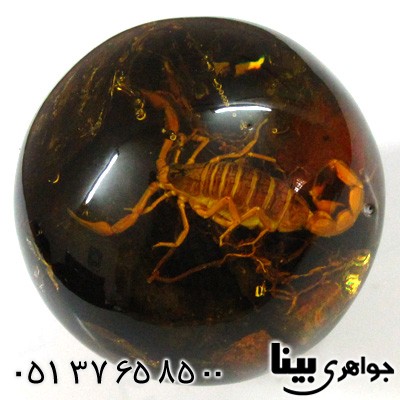 نگین انگشتر کهربا صنعتی با عقرب طبیعی در گوی