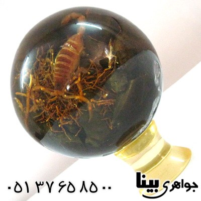 نگین انگشتر کهربا صنعتی دکوری با عقرب طبیعی