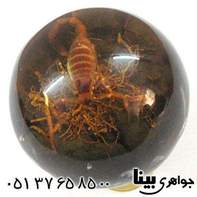 نگین انگشتر کهربا صنعتی دکوری با عقرب طبیعی