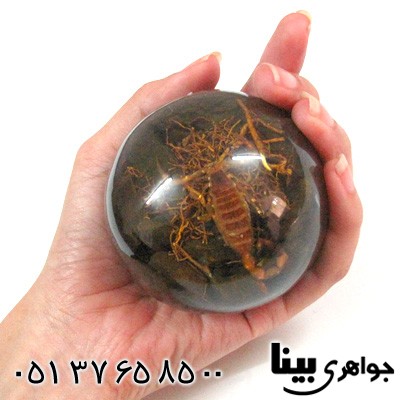 نگین انگشتر کهربا صنعتی دکوری با عقرب طبیعی