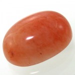 خونی مرغوب خوش تراش
