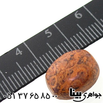 نگین انگشتر جاسپر با نقش چوب پنبه _کد:7758