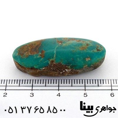 نگین انگشتر فیروزه نیشابوری شجری درشت خوش نقش سنگ درمانی _کد:8599