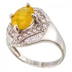 خوشرنگ زنانه رادیوم لوکس مدل دینا _کد:9493