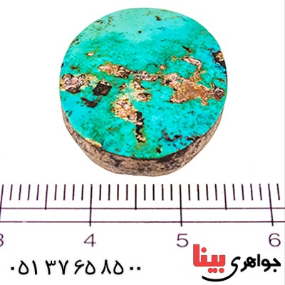 نگین انگشتر فیروزه نیشابوری شجری مناسب سنگ درمانی _کد:9510