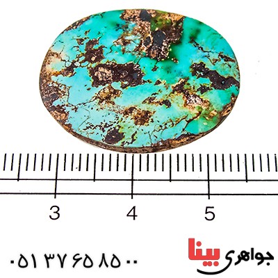 نگین انگشتر فیروزه نیشابوری شجری مناسب سنگ درمانی _کد:9516