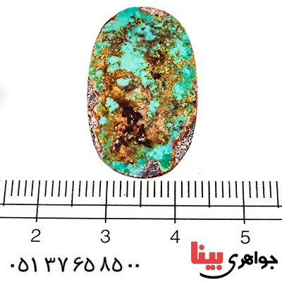 نگین انگشتر فیروزه نیشابوری شجری مناسب سنگ درمانی _کد:9524