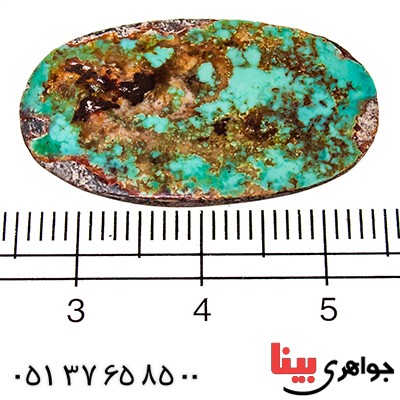 نگین انگشتر فیروزه نیشابوری شجری مناسب سنگ درمانی _کد:9524