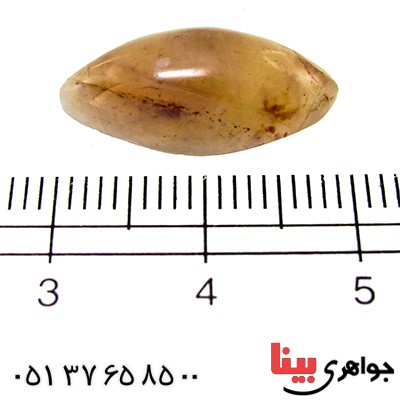 نگین انگشتر عقیق شجری خراسانی ابری قهوه ای خوشرنگ _کد:9743