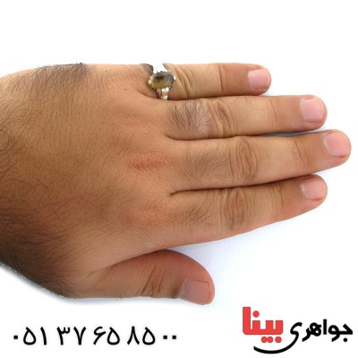 انگشتر عقیق شجری مردانه مدل بوته _کد:10934