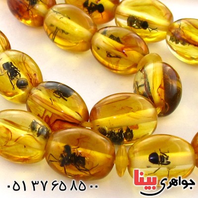 تسبیح کهربا پودری حشره ای 33 دانه ای بیضی _کد:10937