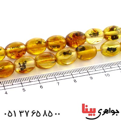 تسبیح کهربا پودری حشره ای 33 دانه ای بیضی _کد:10937