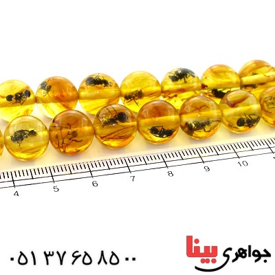تسبیح کهربا پودری حشره ای 33 دانه ای کروی _کد:10938