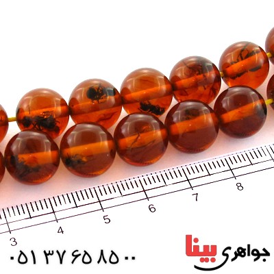 تسبیح کهربا پودری حشره ای 33 دانه ای گرد _کد:10940