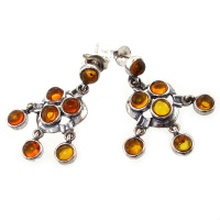 گوشواره کهربا درجه یک مدل فانتزی 