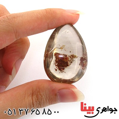 نگین انگشتر در منظره ای درشت طرح بوته گل پاییزی _کد:11044