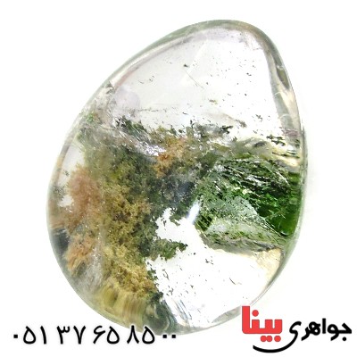 نگین انگشتر در منظره ای درشت با طرح جنگل _کد:11066
