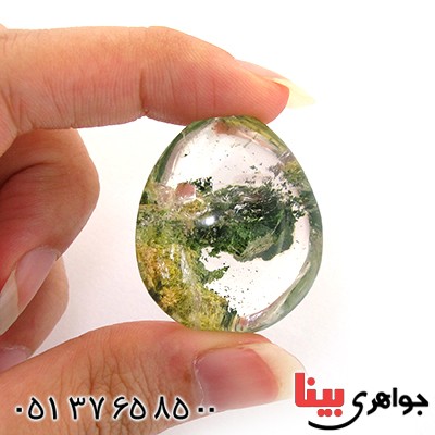 نگین انگشتر در منظره ای درشت با طرح جنگل _کد:11066
