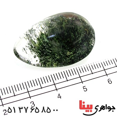 نگین انگشتر در منظره ای درشت با طرح درختان _کد:11069