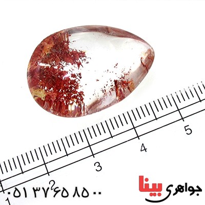 نگین انگشتر در منظره ای درشت با طرح پاییزی _کد:11076