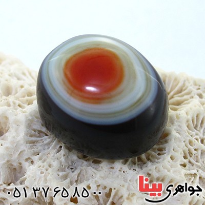 نگین انگشتر عقیق باباقوری تاپ کمیاب درشت _کد:11236