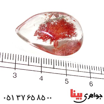 نگین انگشتر در منظره ای درشت با طرح درختان پاییزی _کد:11620