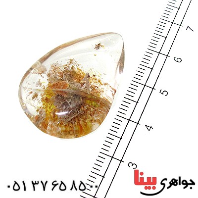 نگین انگشتر در منظره ای درشت با طرح طبیعت_کد:11621