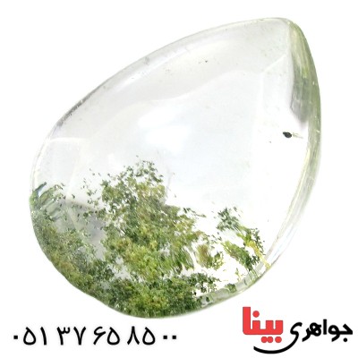 نگین انگشتر در منظره ای درشت با طرح برگ درختان _کد:11626