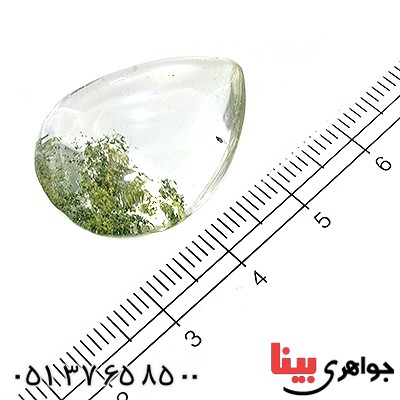 نگین انگشتر در منظره ای درشت با طرح برگ درختان _کد:11626