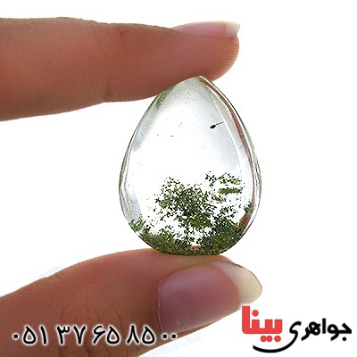 نگین انگشتر در منظره ای درشت با طرح برگ درختان _کد:11626