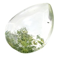 نگین انگشتر در منظره ای درشت با طرح برگ درختان 