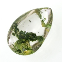 نگین انگشتر در منظره ای درشت با طرح طبیعت 