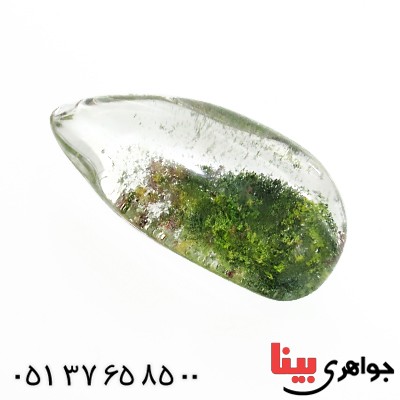 نگین در منظره ای درشت با طرح طبیعت نگین در منظره ای درشت با طرح طبیعت