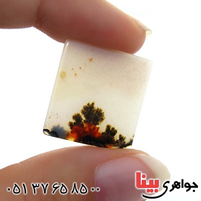 نگین انگشتر عقیق شجری  مربعی _کد:11697