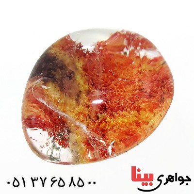 نگین انگشتر در منظره ای درشت با طرح خزان _کد:11703