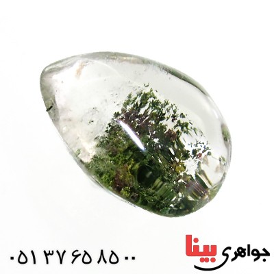 نگین در منظره ای درشت با طرح درختان گرمسیری نگین در منظره ای درشت با طرح درختان گرمسیری
