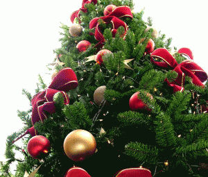درخت-کریسمس-2013-11