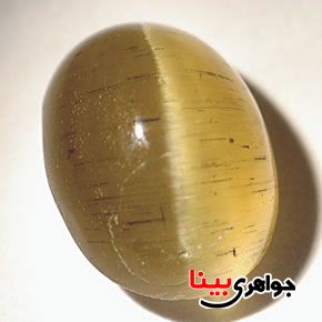 چشم گربه