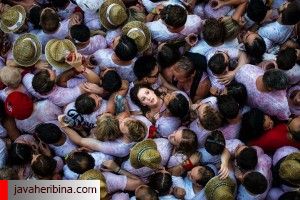 عکس برتر سال 2015