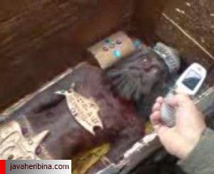 جسد مومیایی و جواهرات