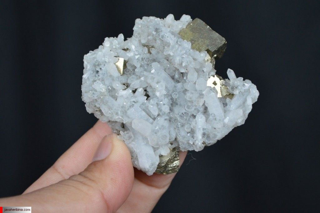 Quartz with Cubic PYRITE Crystals