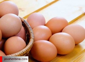 تخم مرغ و خواص آن