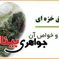 کانی شناسی عقیق خزه ای